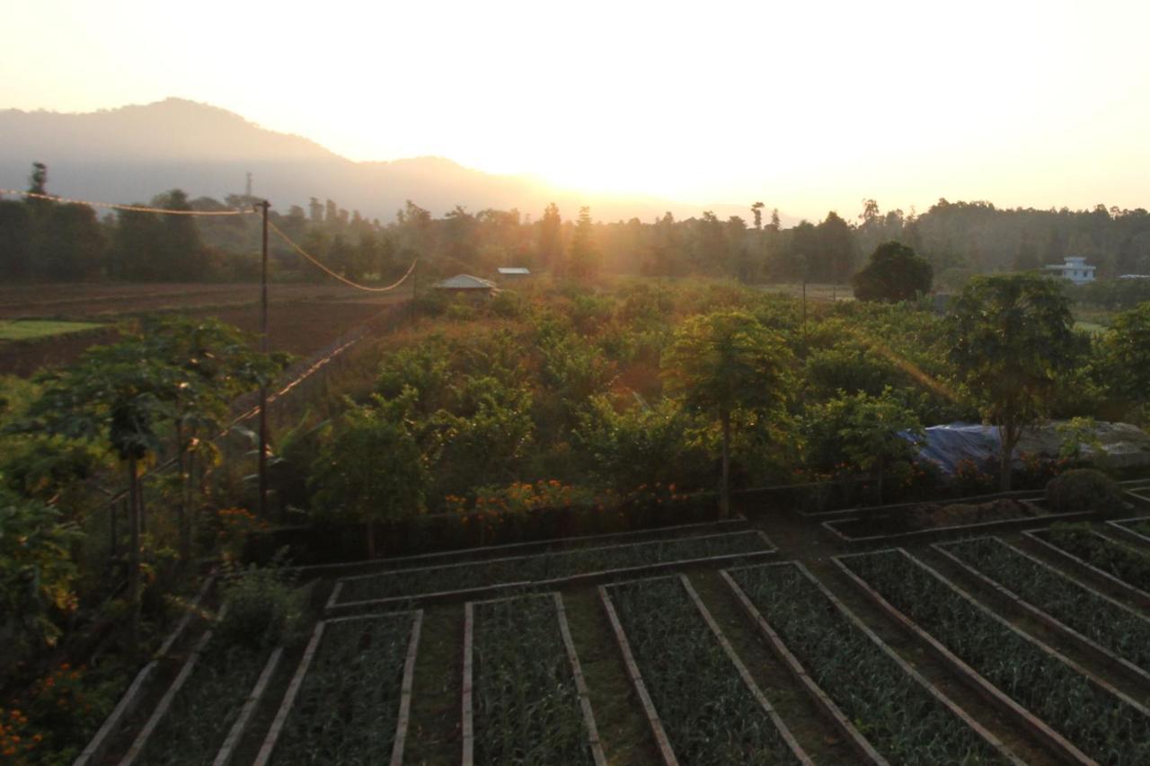 Forest Side Farm - Homestay At Kotabagh Near Nainital And Jim Corbett Exterior foto